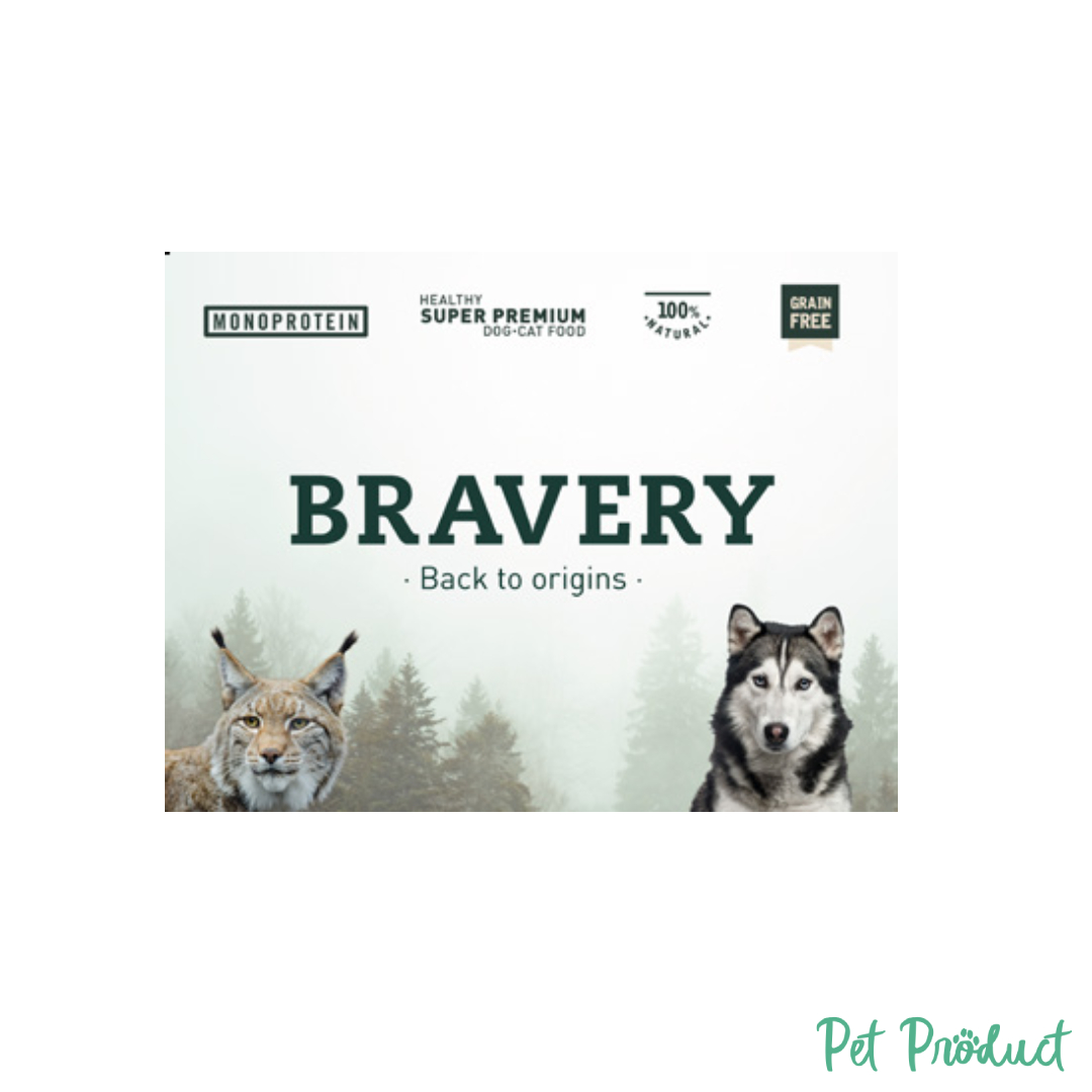 Bravery Poster Carton 1X0,80M