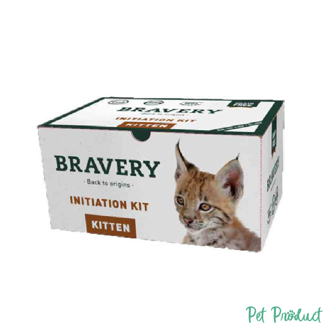 Bravery Chat Initiation Kit (Pack 4 Unités)