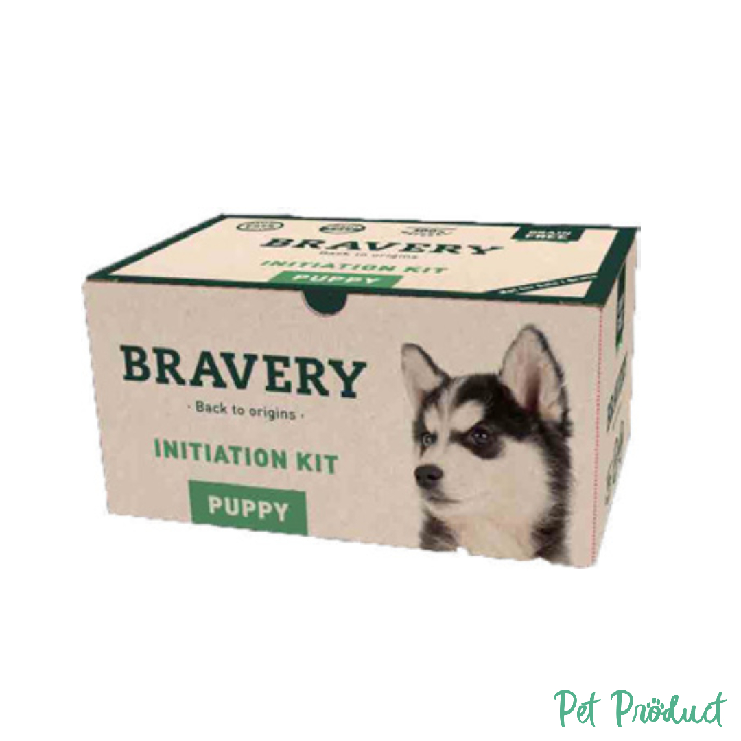 Bravery Chien Initiation Kit (Pack 4 Unités)